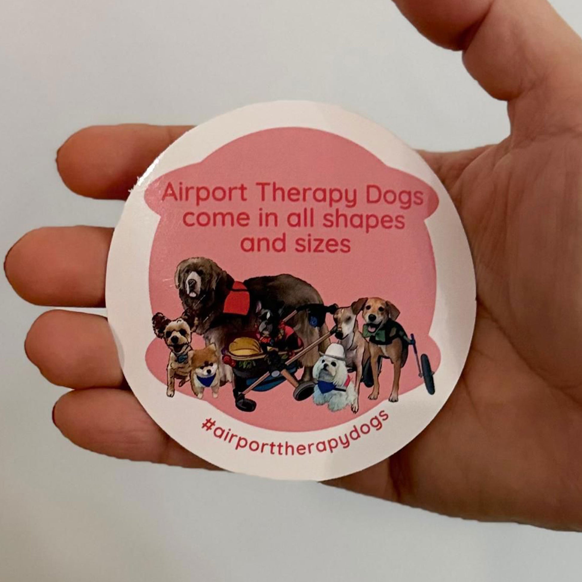 Sticker with 'Airport Therapy Dogs come in all shapes and sizes' text and images of dogs on a pink background, held by a hand.